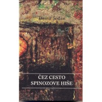 Damir Šodan: Čez cesto Spinozove hiše