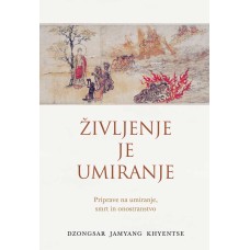 Dzongsar Jamyang Khyentse: Življenje je umiranje (e-knjiga)